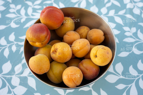 Apricots 65821