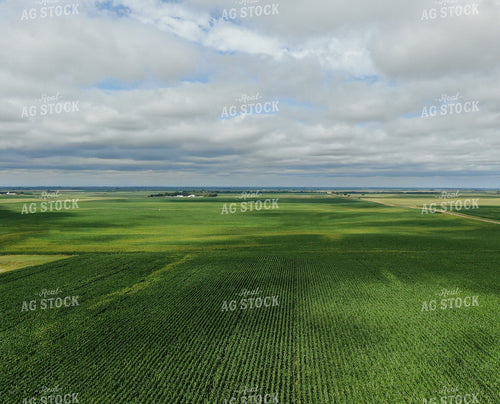 Aerial Corn Field 141021