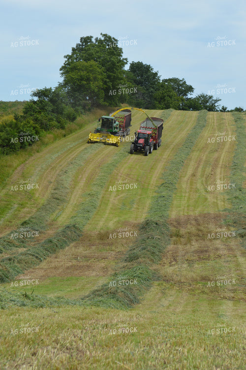 Harvesting Hay Silage 206058