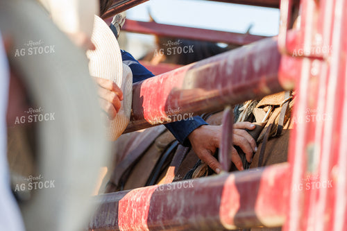 Rodeo 52884