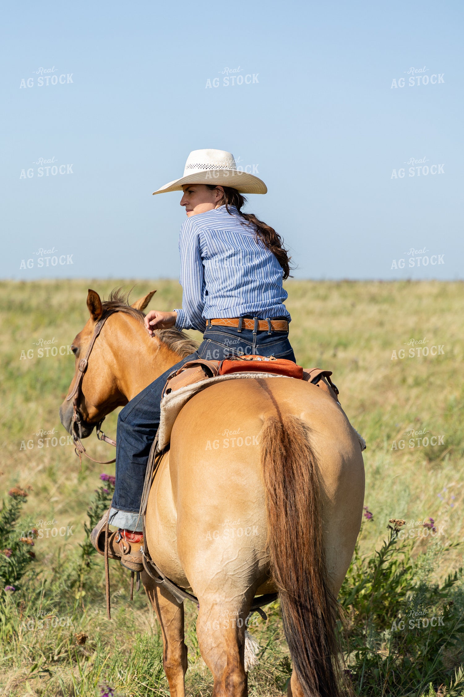 Female Rancher Horseback 71032