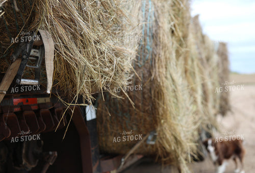 Hauling Hay Bales 141820