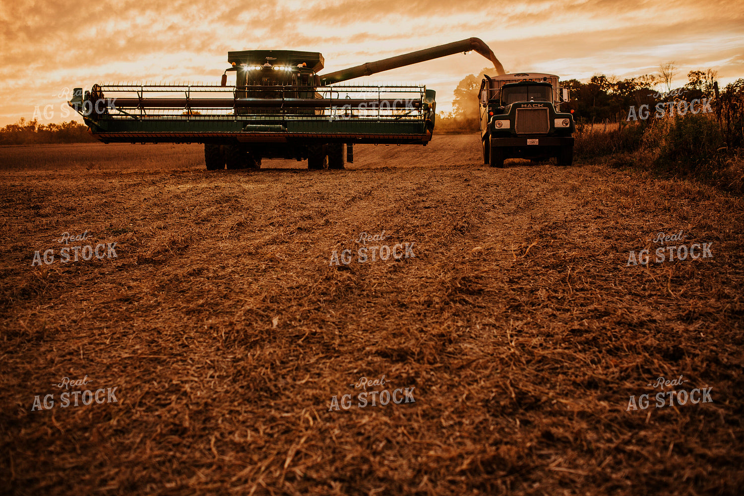 Harvest 2653