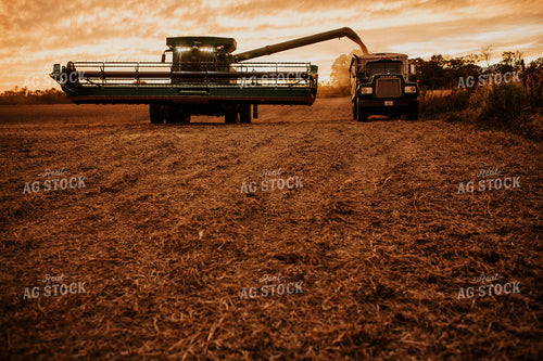 Harvest 2653