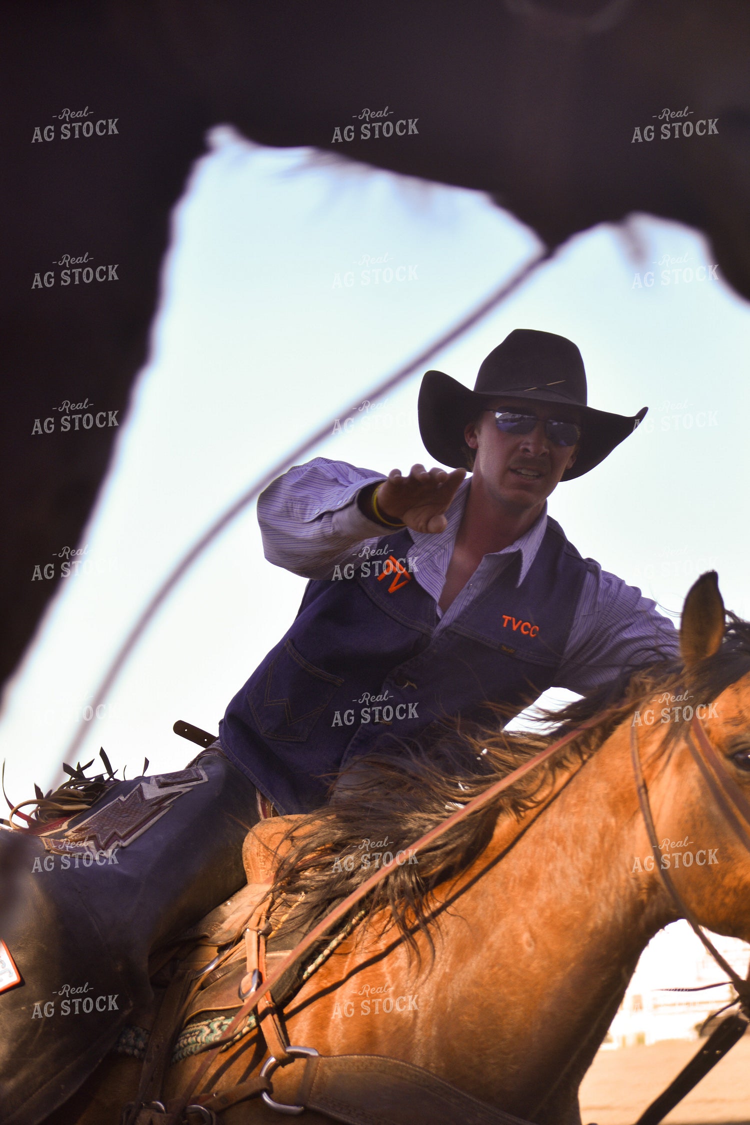 Rodeo 263013