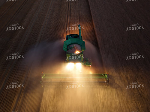 Wheat Harvest 239270