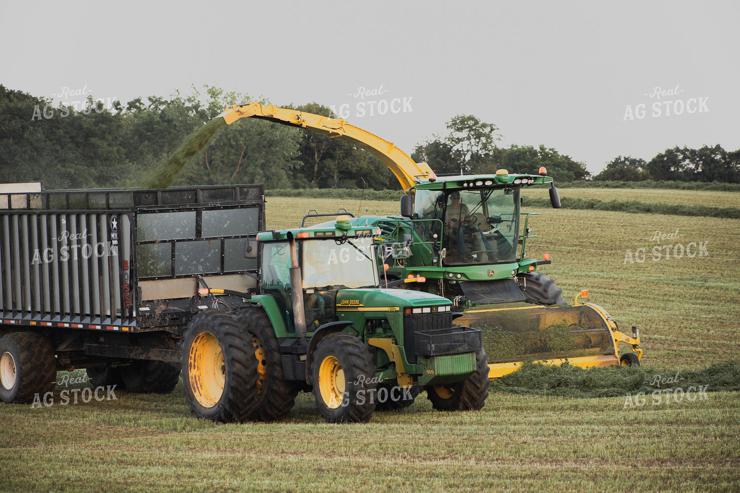 Haylage Harvest 272027