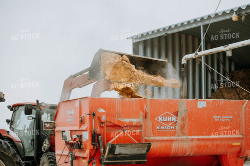 Tractor Emptying into feed mixer 77144