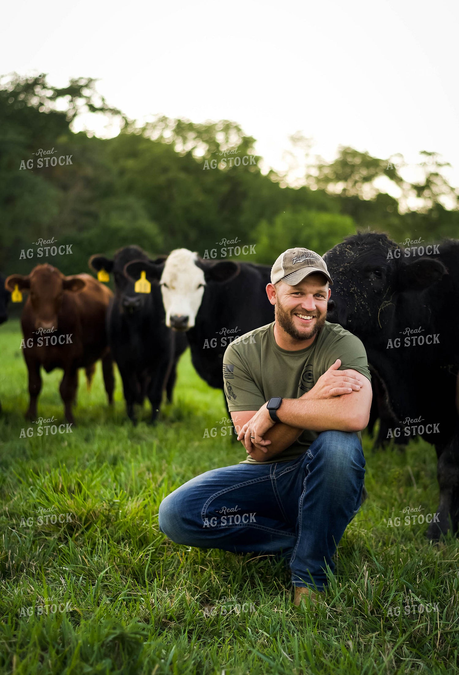 Farmer in Pasture with Cattle 115022