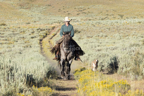 Cowgirl on Horseback 290049