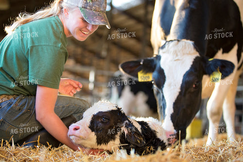 Holstein Cow-Calf with Farmer 55158