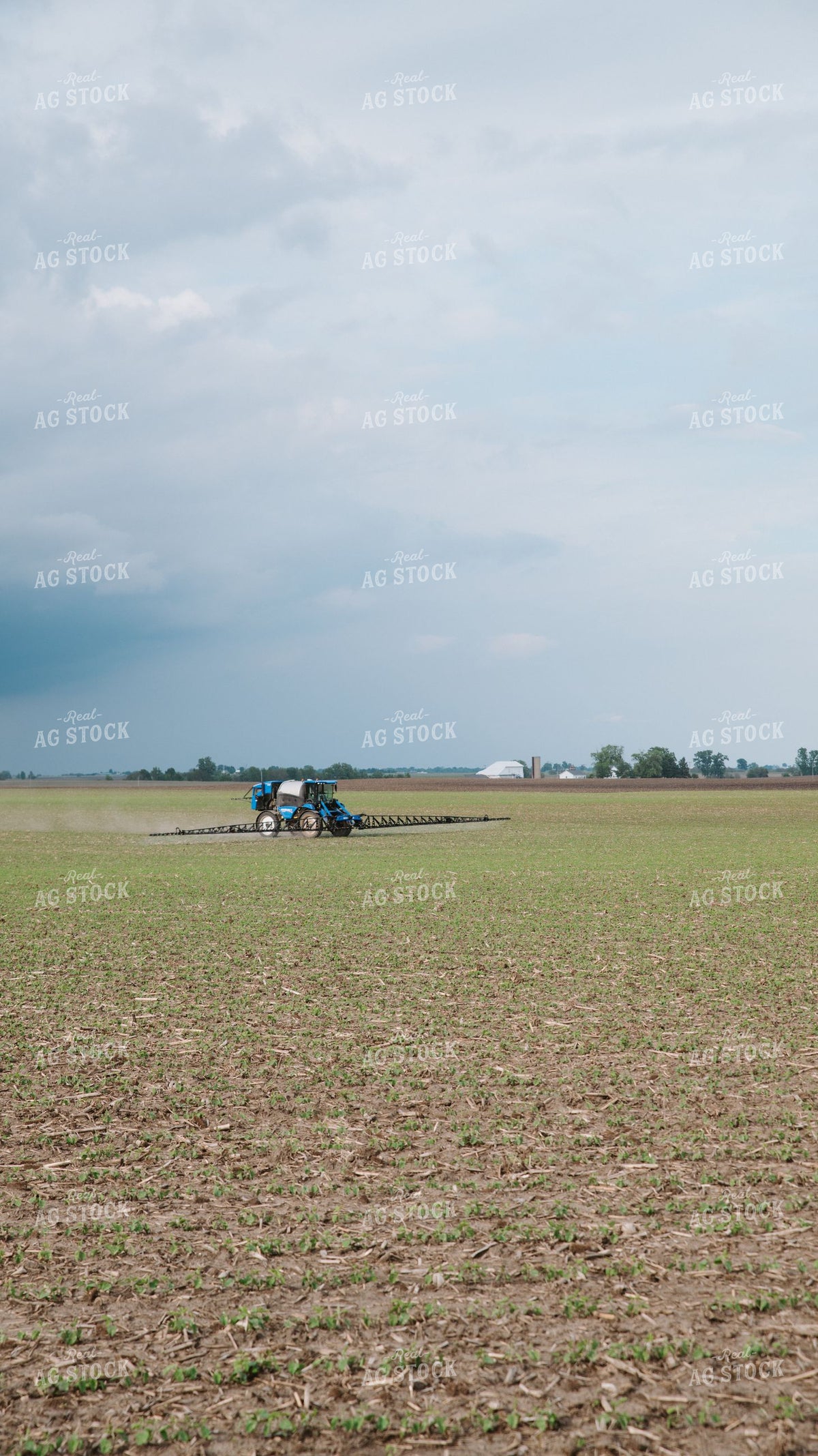 Self-Propelled Sprayer Applying Crop Protection to Early Growth Field 401022