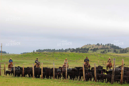 Cattlemen on Horses 63040