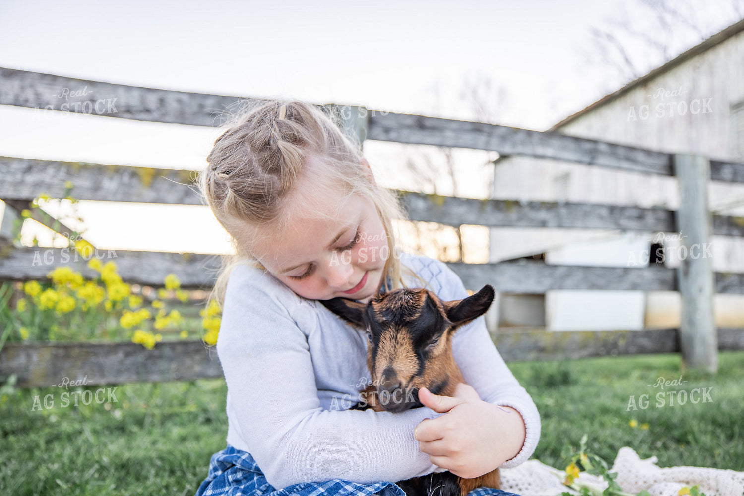 Farm Kid with Goat Kid 270112