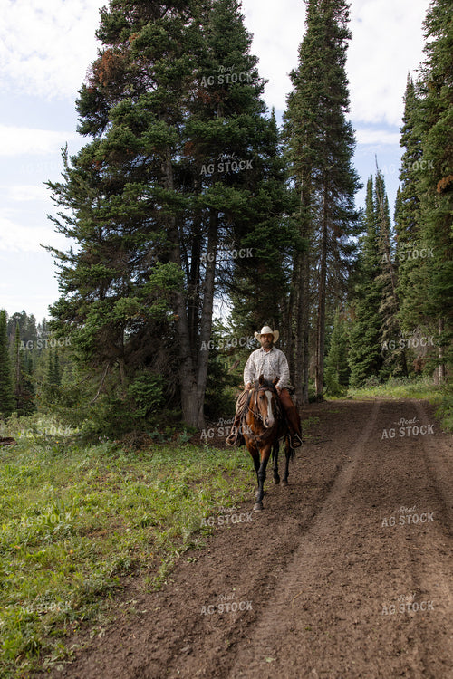 Cowboy on Horseback 304104