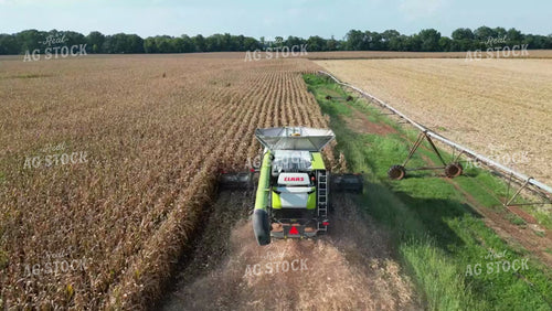 Aerial of Corn Harvest 149049
