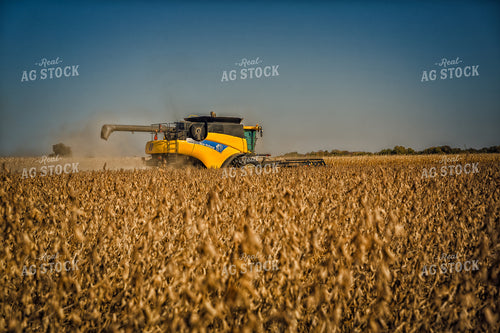 Soybean Harvest 153035