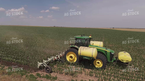 Ripping Corn 239308