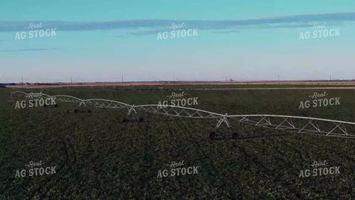 Irrigation on Cover Crop 239109