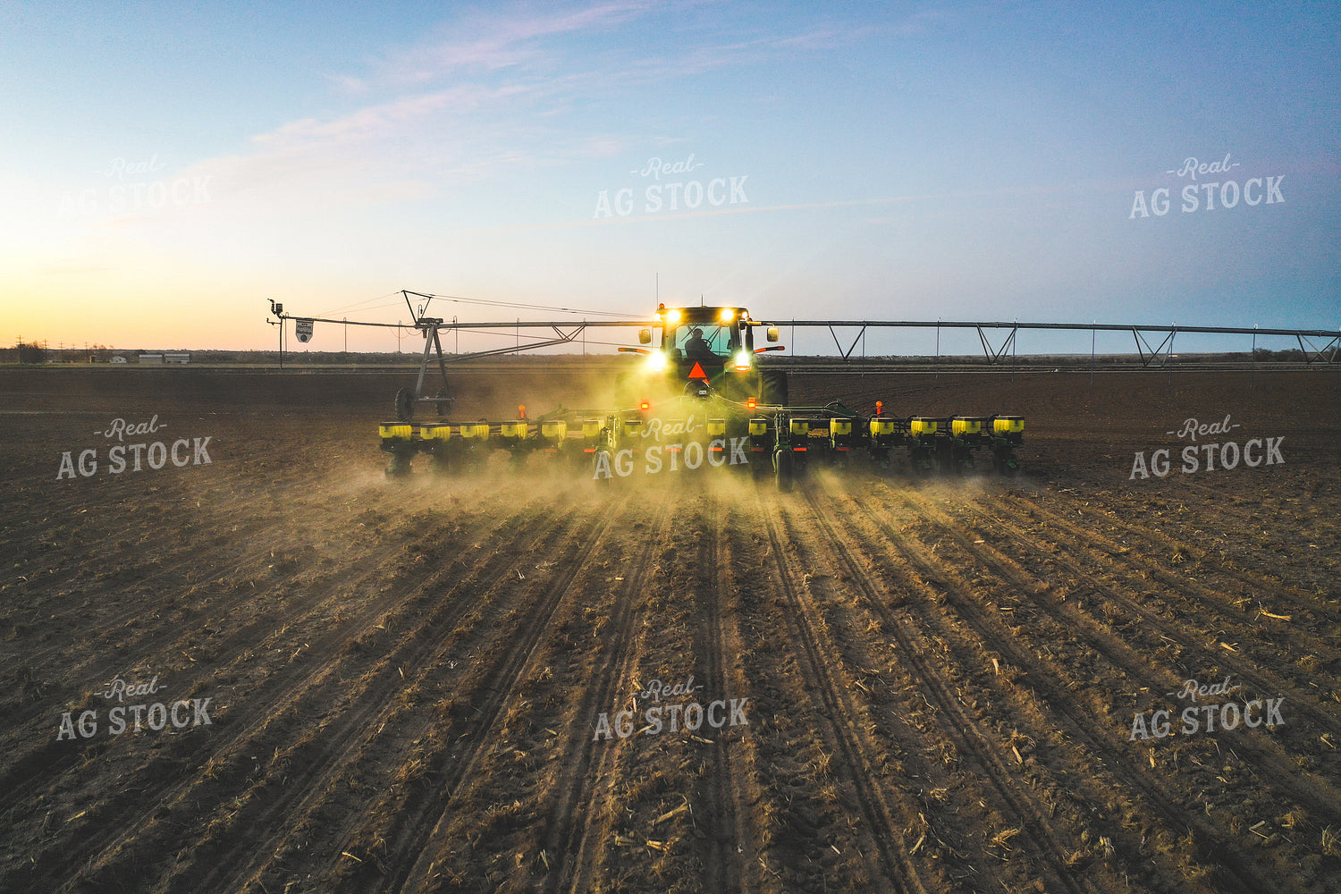 Planter at Night 56011
