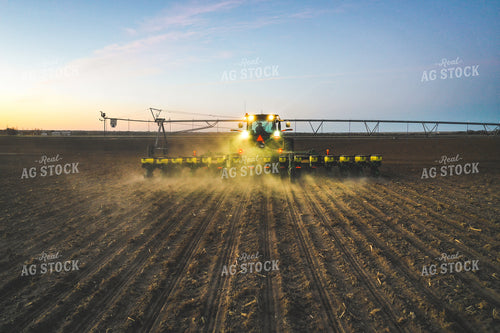 Planter at Night 56011