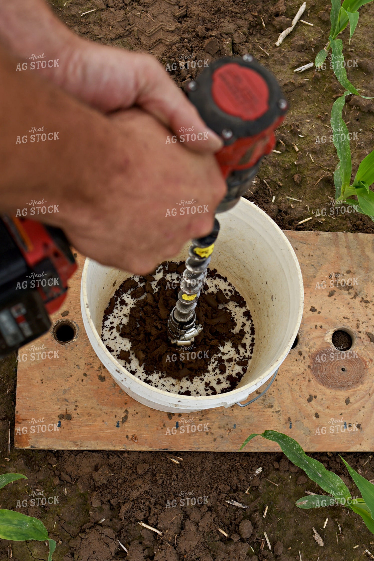 Soil Sampling 100055