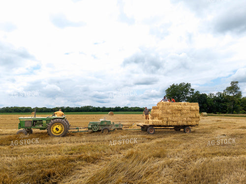 Baling Square Hay Bales 115816