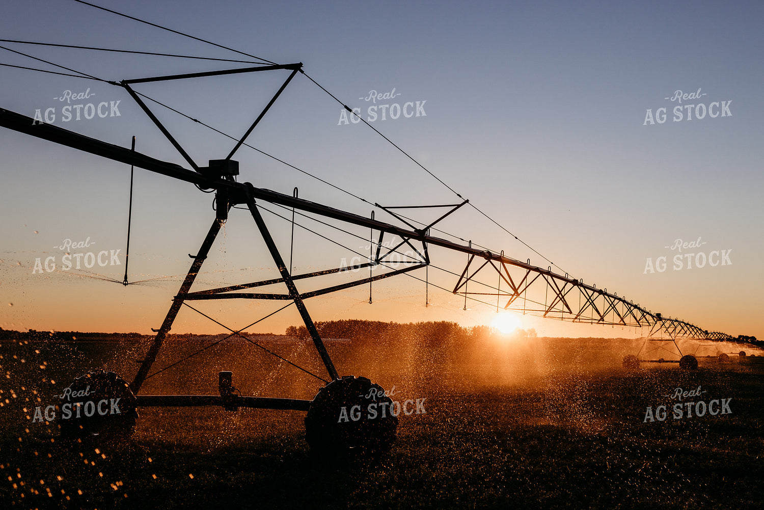 Irrigated Field 152203
