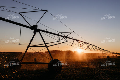 Irrigated Field 152203