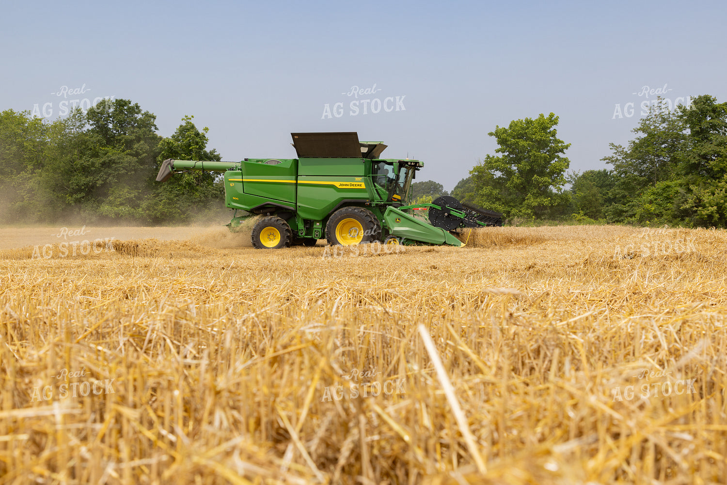 Wheat Harvest 79807