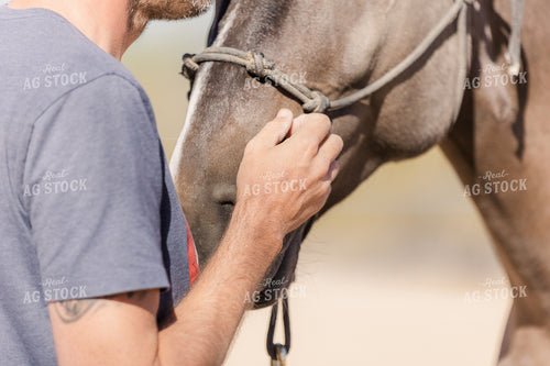Rancher With Horse 184030