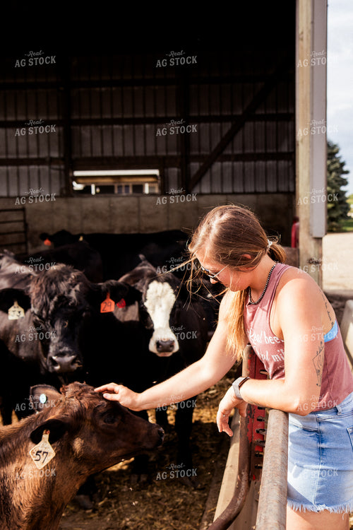 Farmer Petting Calf 67438