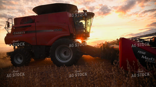 Combine Harvesting Soybeans 25745