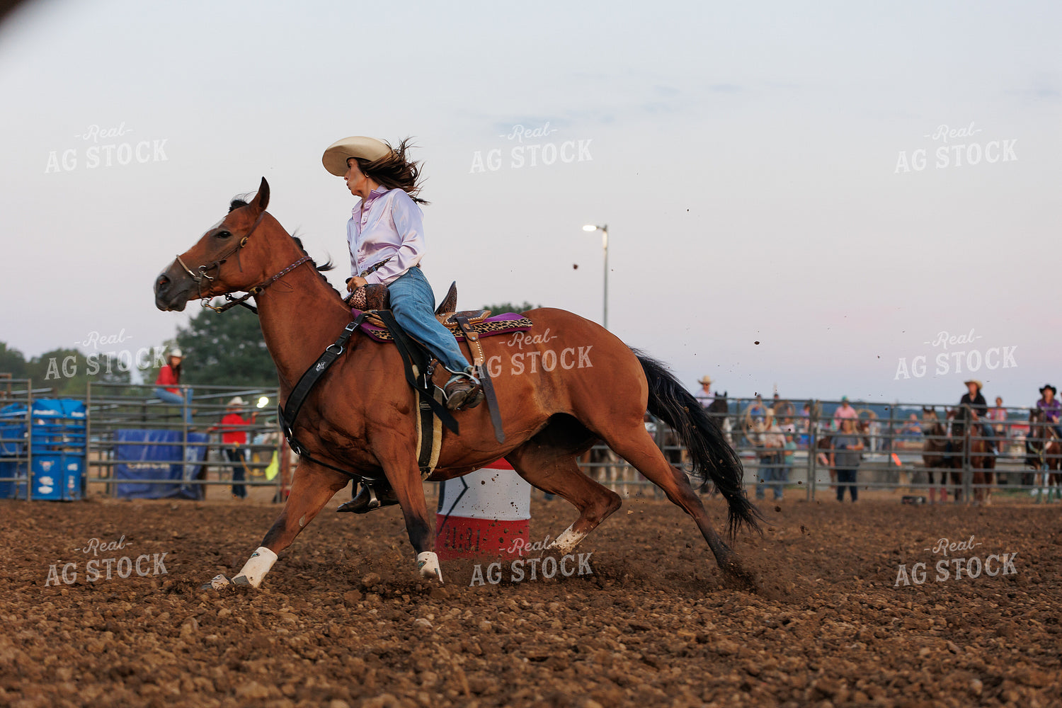 Rodeo 295150