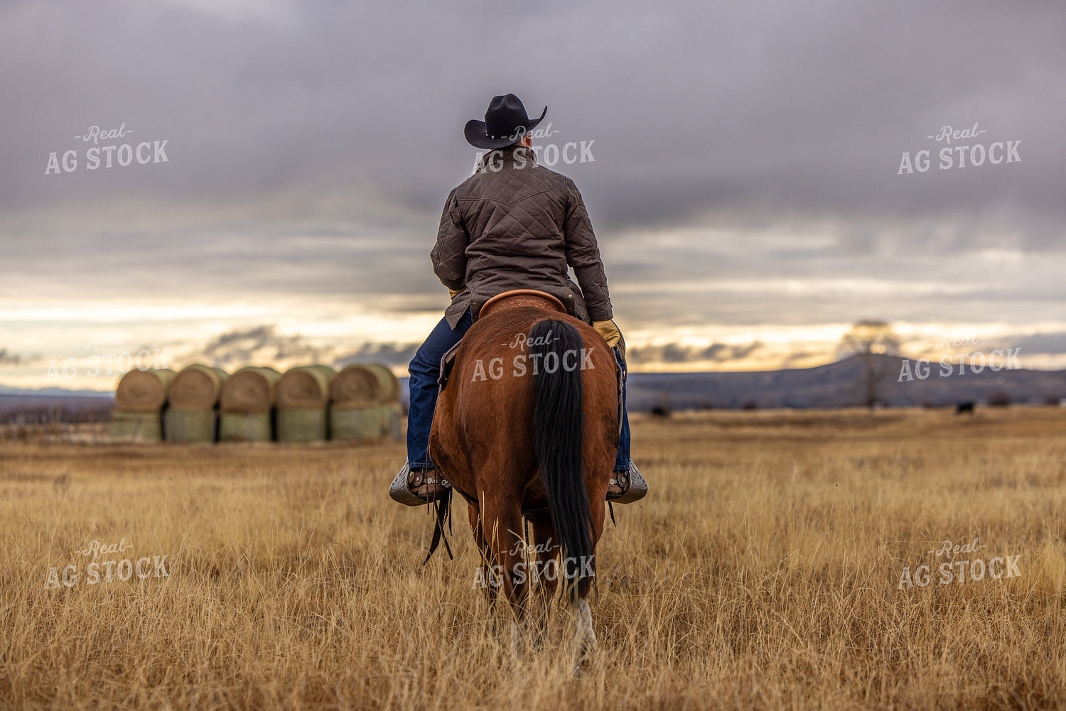 Rancher on Horseback 304039