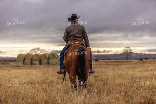 Rancher on Horseback 304039