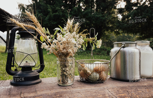 Camping Food Preparation 178046