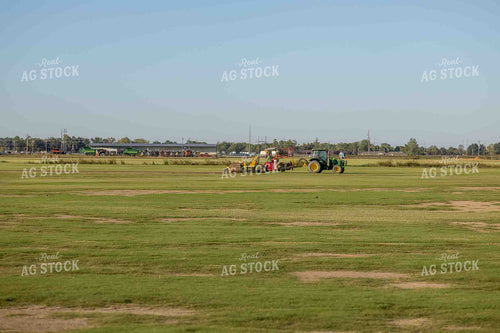 Sod Harvest 291019