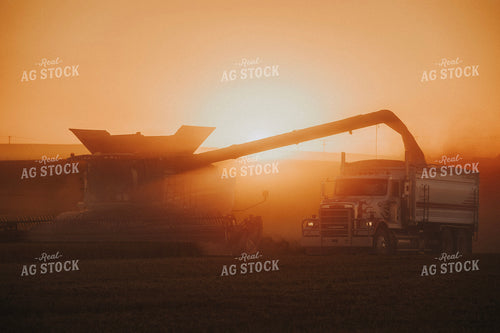 Harvest at Sunset 187382