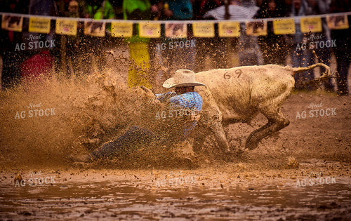 Rodeo 177038