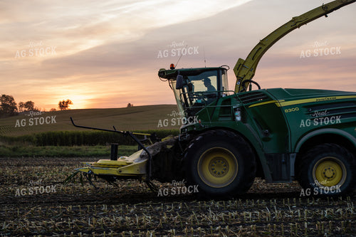Corn Silage Harvest 272004