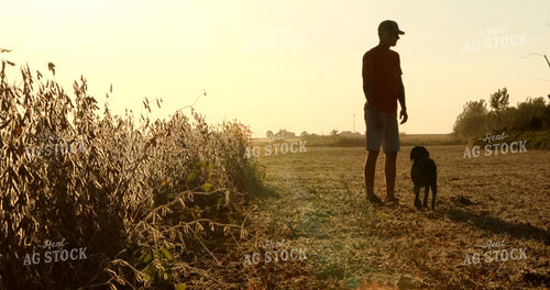 Farmer and Farm Kid Walking Along Soybean Field with Farm Dog 5387