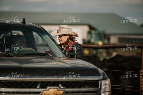 Feedyard 3036