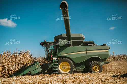 Combine Picking Corn 4693
