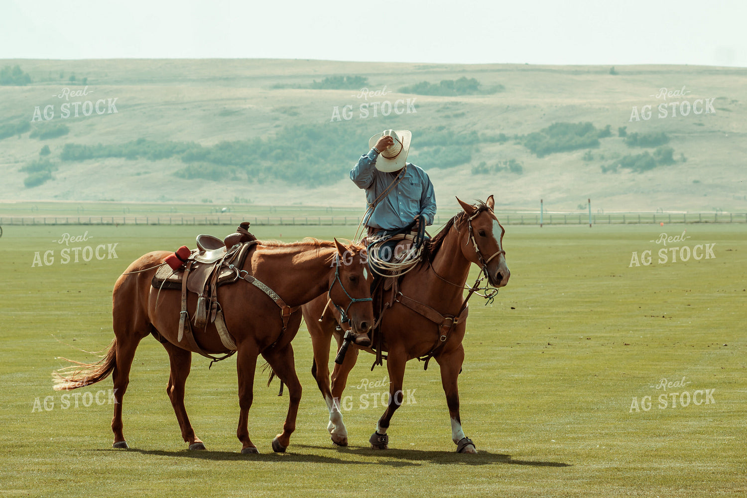 Rancher on Horseback 58023