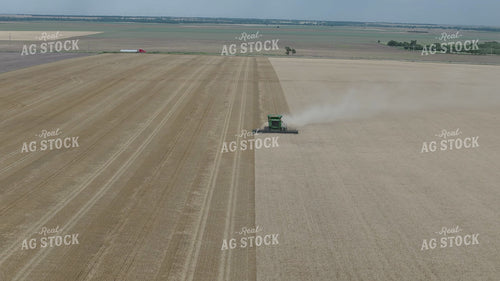 Wheat Harvest 239338