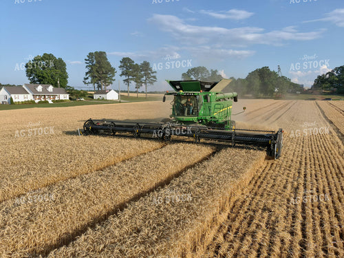 Combining Wheat 79030
