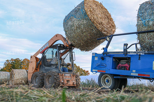 Moving Corn Stalk Bales 160367