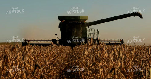 Combine Harvesting Soybeans 5383