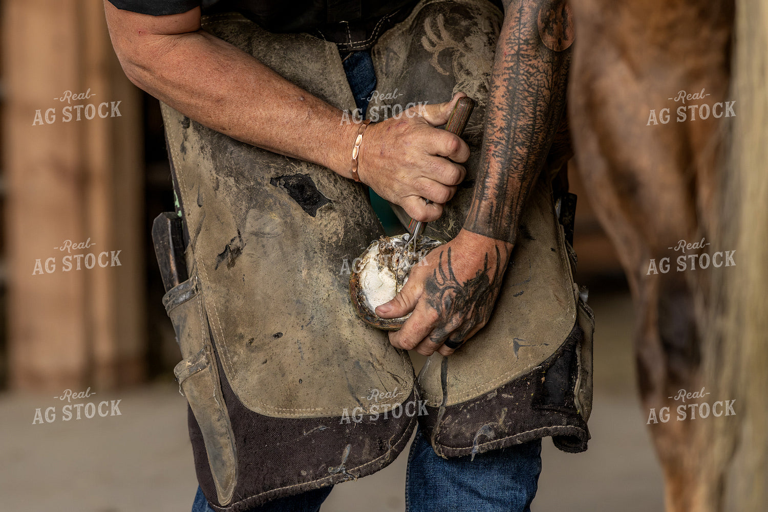 Farrier 188173